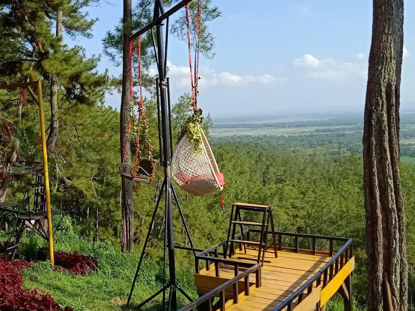 Bear Of Artemis: Jelajahi Cilacap dengan Wisata yang Menginspirasi